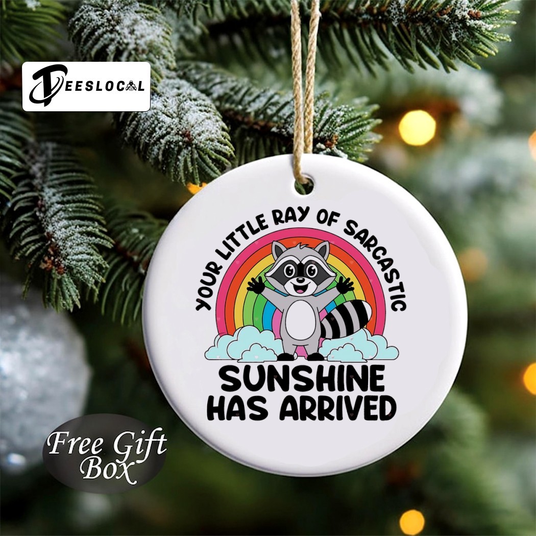 Funny Sarcastic Sweatshirt For Women - 'Your Little Ray Of Sarcastic Sunshine' Graphic Pullover Long Sleeve Top