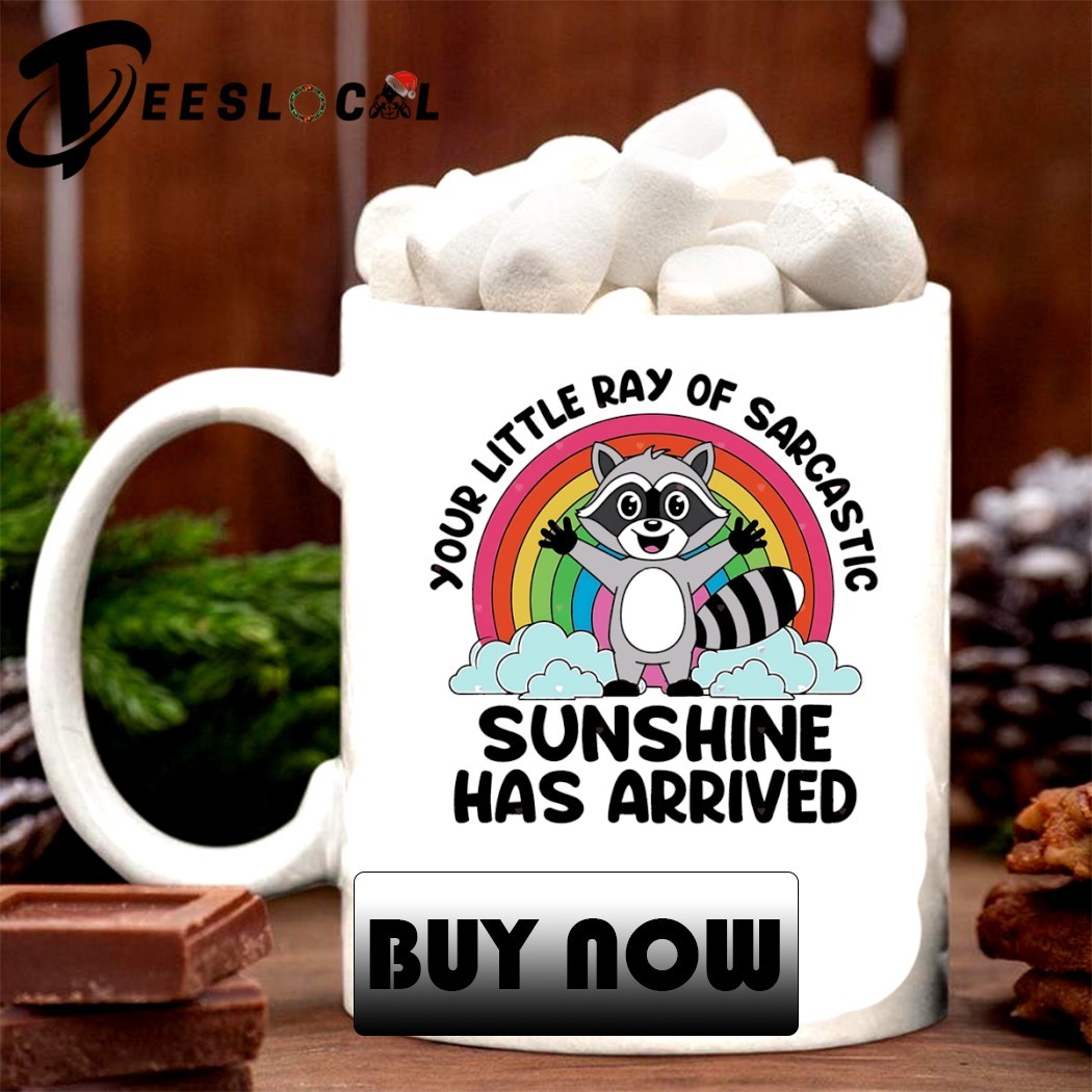 Funny Sarcastic Sweatshirt For Women - 'Your Little Ray Of Sarcastic Sunshine' Graphic Pullover Long Sleeve Top