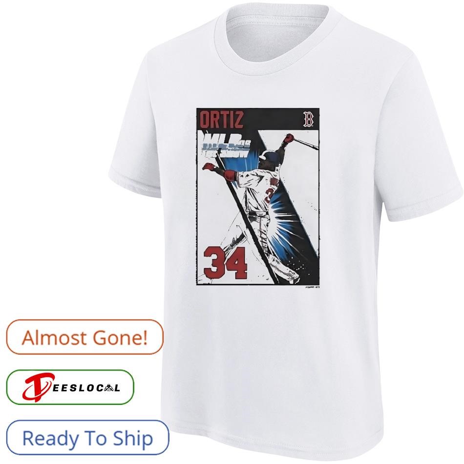 HARRY Bottle Up and Go Tシャツ　新品未開封 David Ortiz 34 MLB The Show 06 cover Boston Red Sox shirt, hoodie