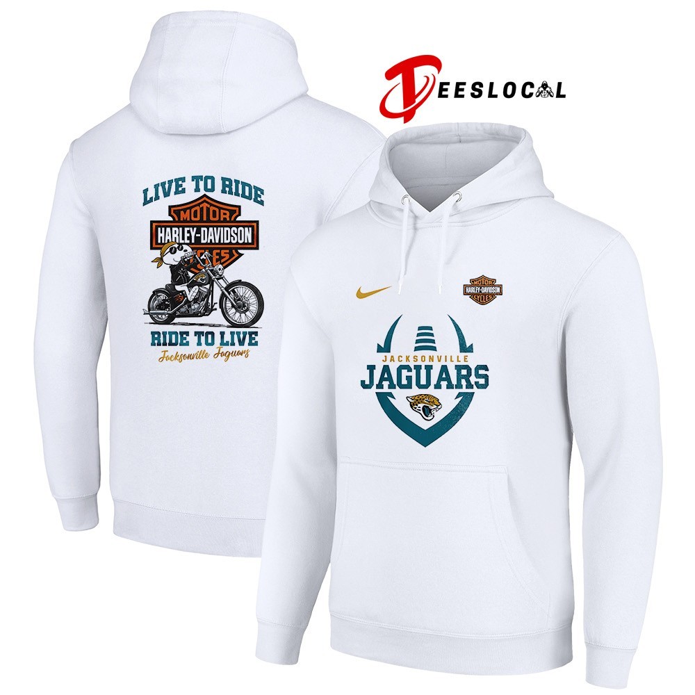 Snoopy × Harley-Davidson Tシャツ XL HARLEY DAVIDSON Tシャツ ハーレーダビッドソン Hanes製 チャコール Lサ